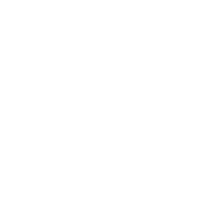 Icoon Circulair